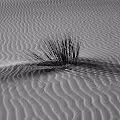 Gypsum Lines by Donna Martinez
