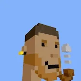 PunksVoxels (wrapped)