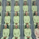 Clonism by Alice Gordon