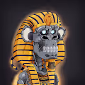 EvolutionApesOfficial