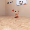 Dirk Just Do It