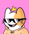 Spesh Cats NFT