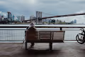 Benches Collection