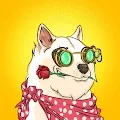 The Billionaire Doge Club