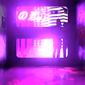 Kidmograph x Dream Catalogue