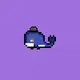 Weird Whales
