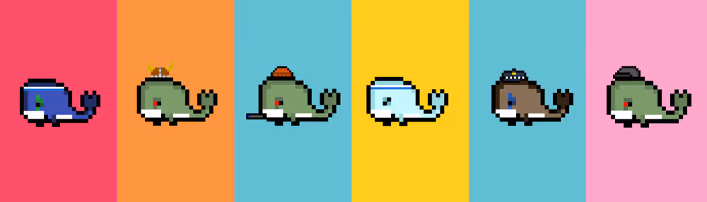 Weird Whales