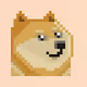 kawaii doge