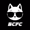 Bad Cats Fight Club