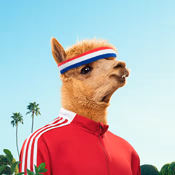 專案媒體佔位符