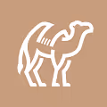 CRYPTO CAMELS CLUB