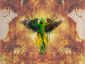 Fine Art Animation