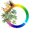 HashKingsPlanet