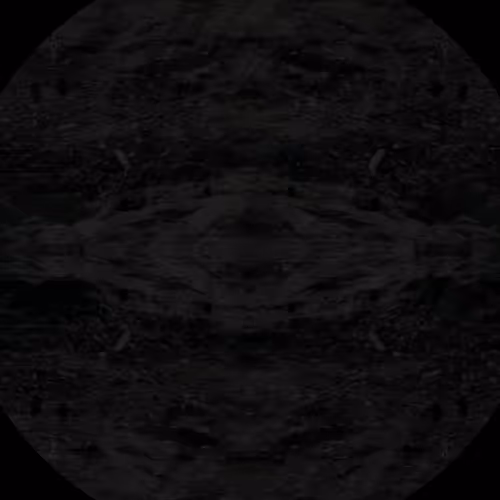 Noah Pred - Insolvency (Roil Flush)
