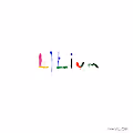 Lilium by Taylor