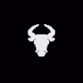 Crypto Bull Win