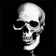 💀TOKEN 02 - $SKULL