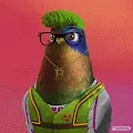The Pigeon Flight Club