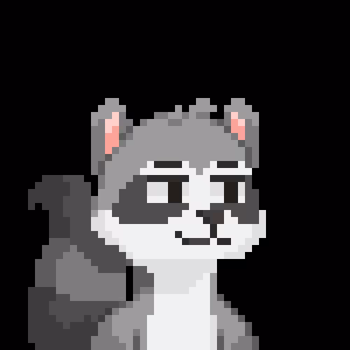 Raccoon Gang