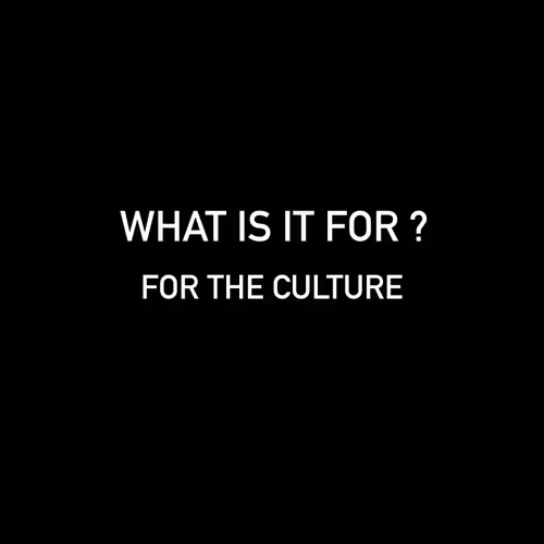 What is it for ? 1981