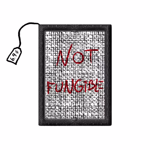 NOT FUNGIBLE ART