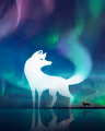 Nifty Royale X TedsLittleDream Revontulet Fox Fires