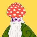 Mystic Wizards Official