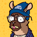 Koolworld: Koollamas