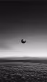 Zorb in the clouds