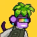 0xChimperss