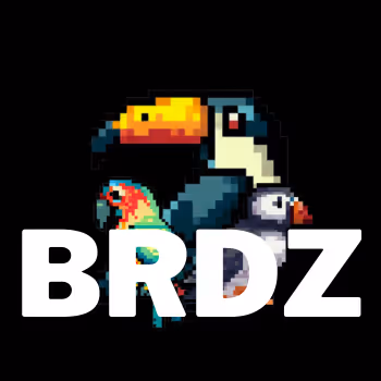 PXL BRDZ