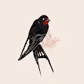 Birds - x9ZFRptL7M