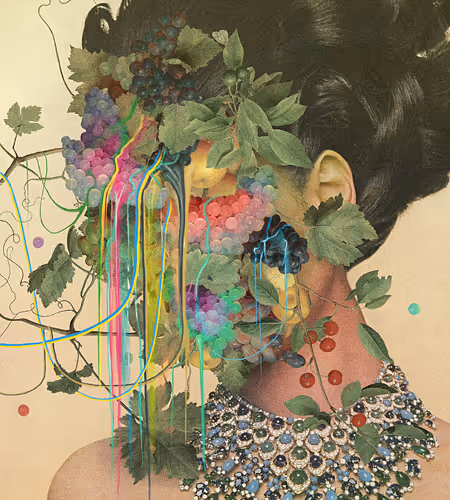 Connections - Open Editions