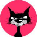 Tom Tom Cats