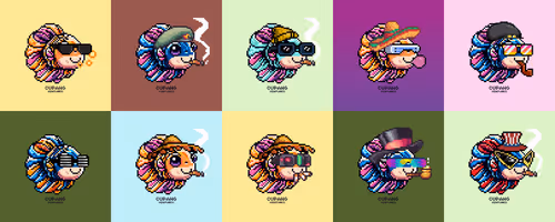 Cupang Ventures Collection