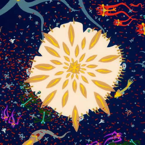 Schmryptozoa