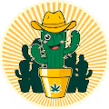 Cuddle Cacti