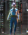 The First Link