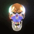 Party Bones