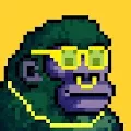 0xKongz (V2)