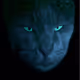 The Guardians of darkness