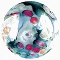 Tide Pools