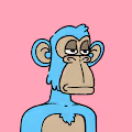 Cool Apes Official
