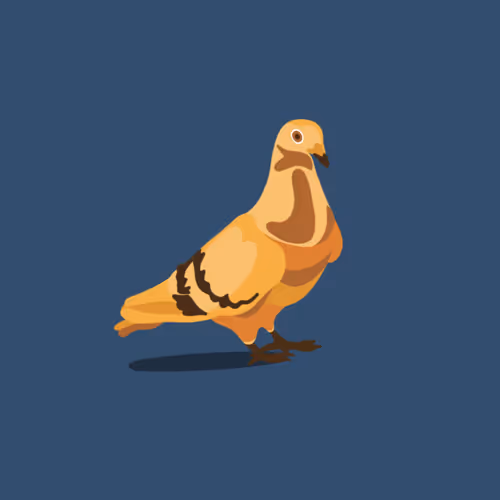 Golden Pigoen