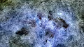 FLATFRAME_0001