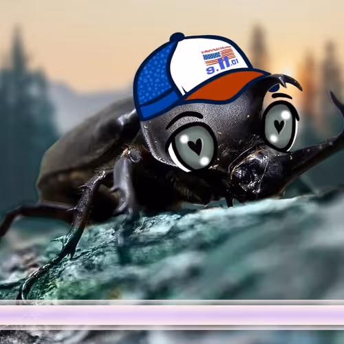 BEETLE GAMES