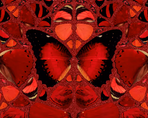 HENI: Damien Hirst - The Empresses
