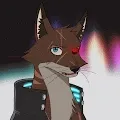 NAUGHTY FOX CLUB