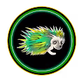 Hedgehogs 4K NFT Drop