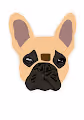 Posh Frenchie Club